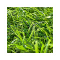 DIY Mini Garden Simulation Plants Artificial Moss Turf Green Grass Decorative Lawn Artificial Green Blanket